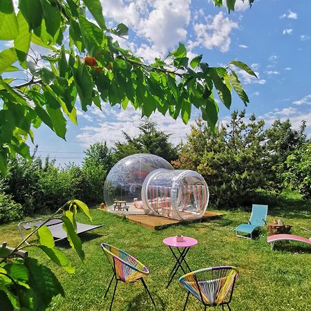 La Bulle Des Champs Bed & Breakfast Champmotteux ภายนอก รูปภาพ